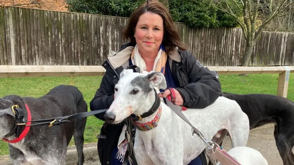 Lincolnshire charity saves more than 400 dogs from China's meat trade