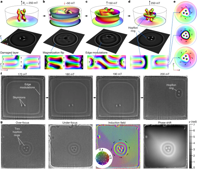 Hopfion rings in a cubic chiral magnet