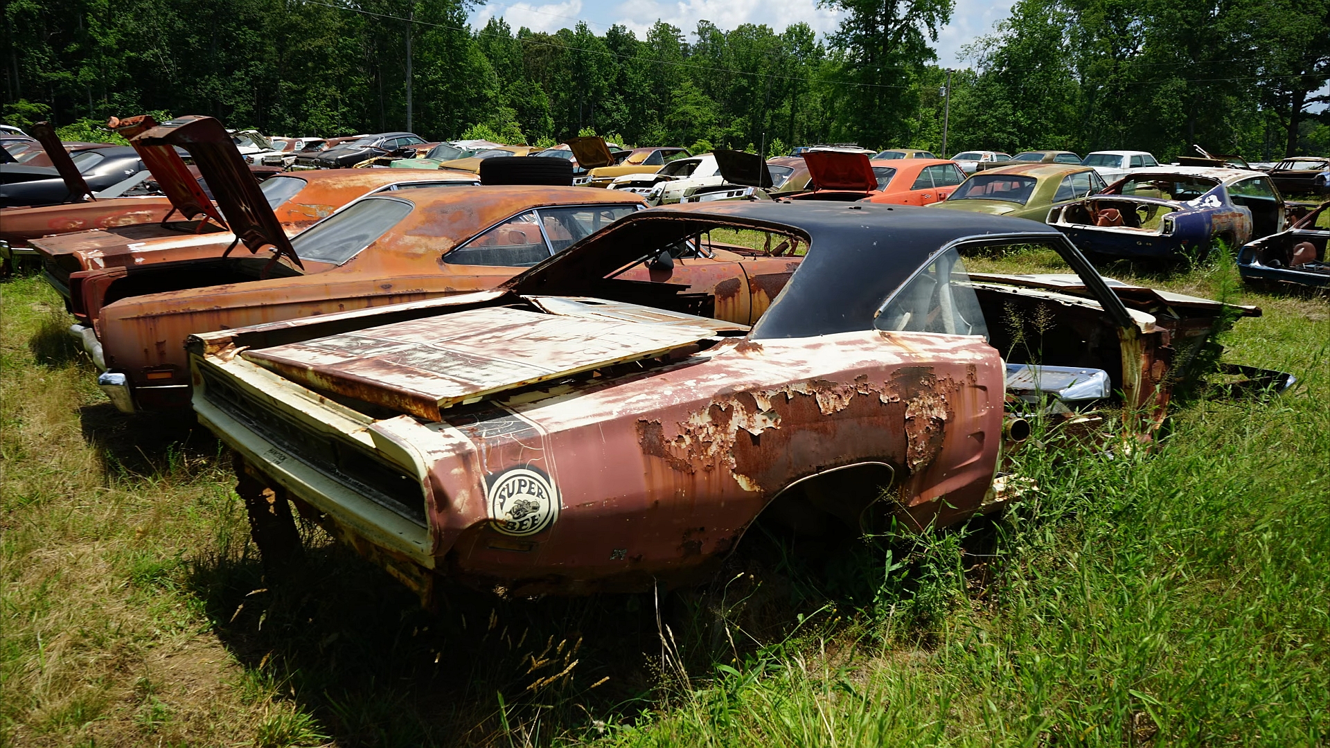 60-Year-Old Ohio Junkyard Holds Several Classic Car Gems