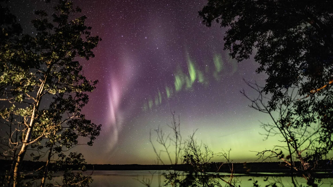 These magnificent purple and green lights aren’t auroras. This is Steve